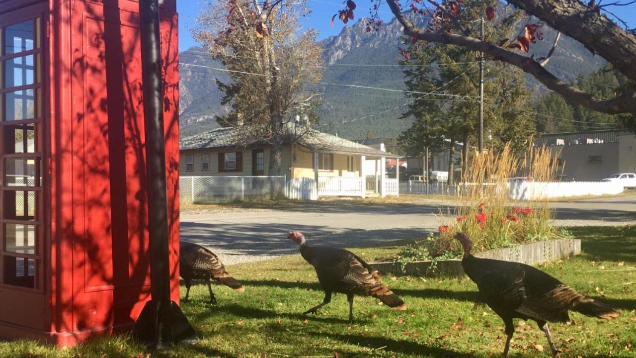 Piccadilly Motel Radium Hot Springs Exterior foto