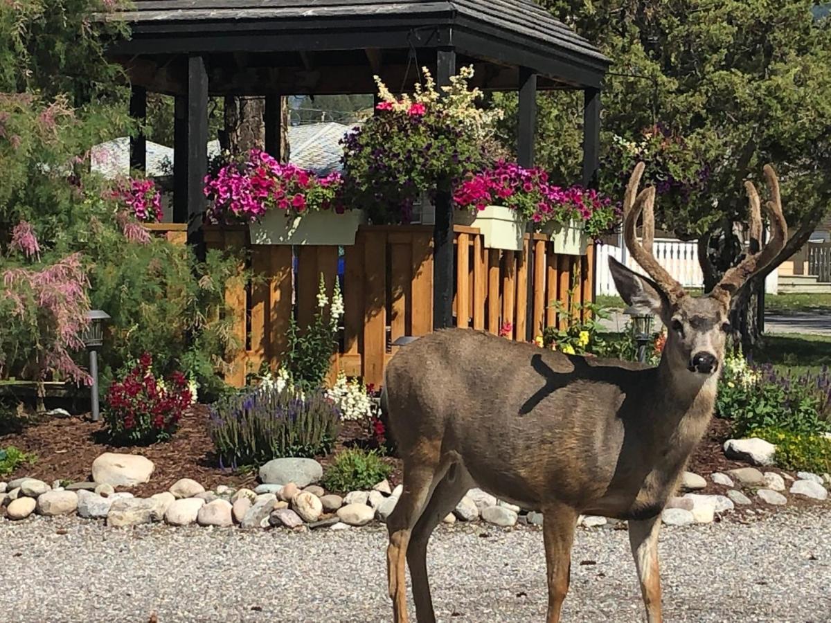 Piccadilly Motel Radium Hot Springs Exterior foto