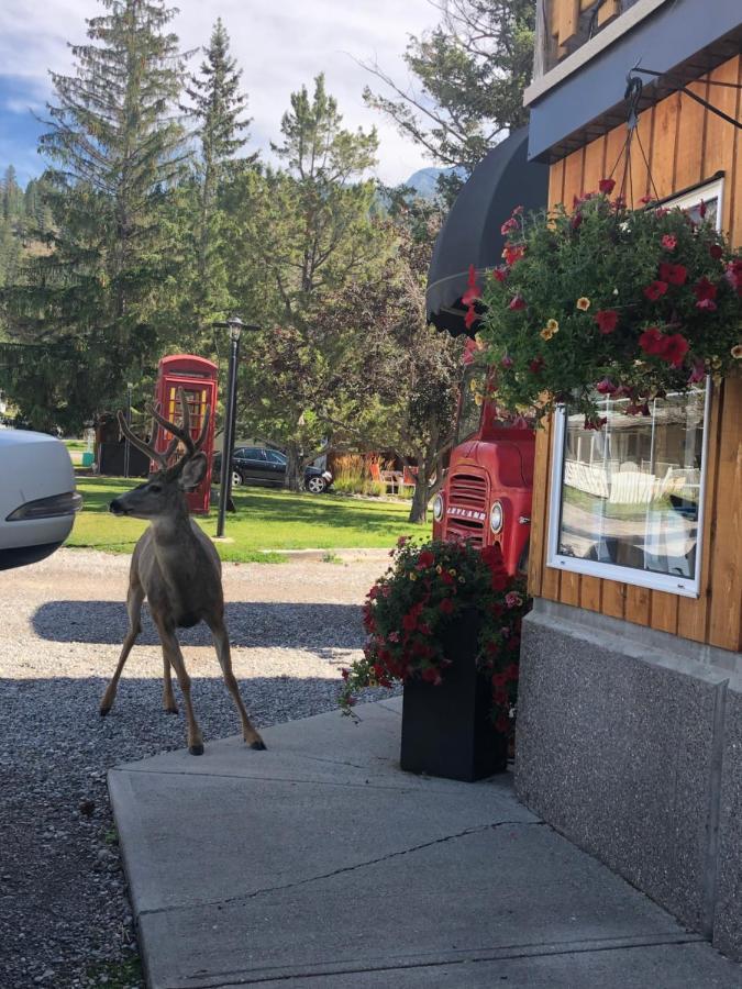 Piccadilly Motel Radium Hot Springs Exterior foto